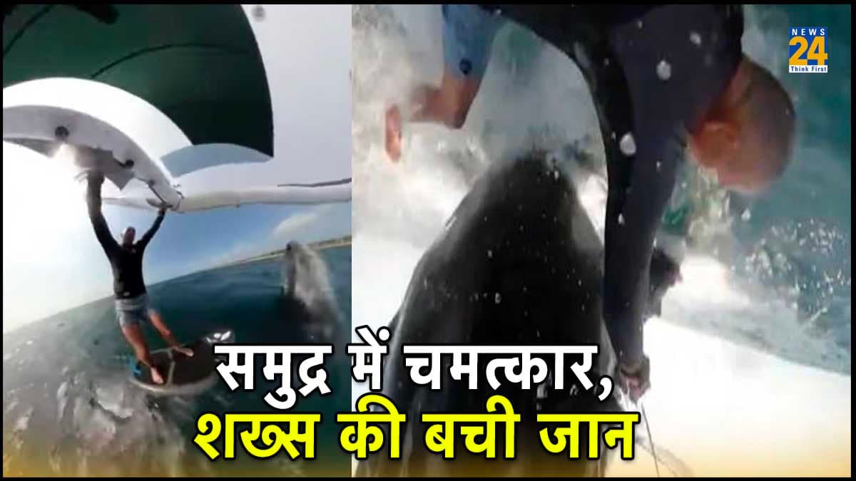 समुद्र में 'मौत' बनकर आई व्हेल, सर्फिंग कर रहे शख्स को 30 फीट नीचे तक खींचा, सामने आया VIDEO
