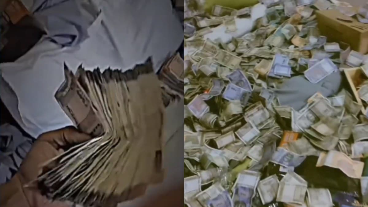 Watch Video: चोरी के बाद चोर पहुंचा होटल, बुक किया लग्जरी रूम, नोटों के साथ बनाई Insta Reel, और फिर...