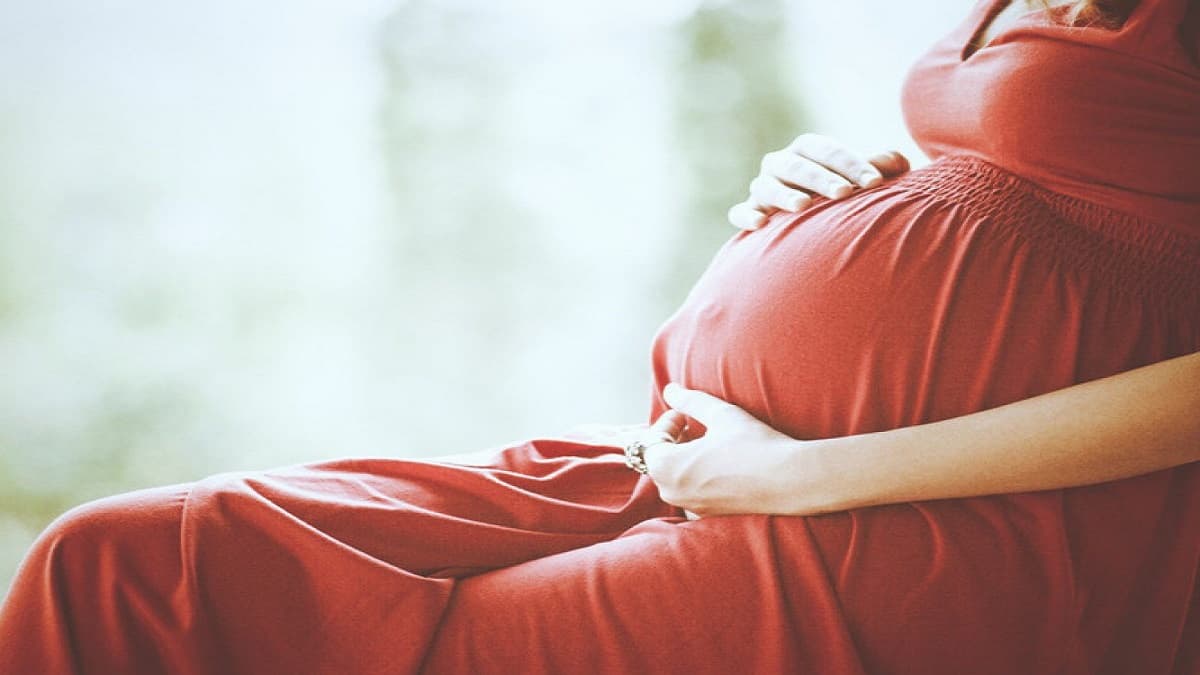 हम बच्चे को नहीं मारेंगे, भ्रूण हत्या पाप है, ऐसे मौत नहीं देंगे...एक मां के खिलाफ सुप्रीम कोर्ट का बड़ा फैसला