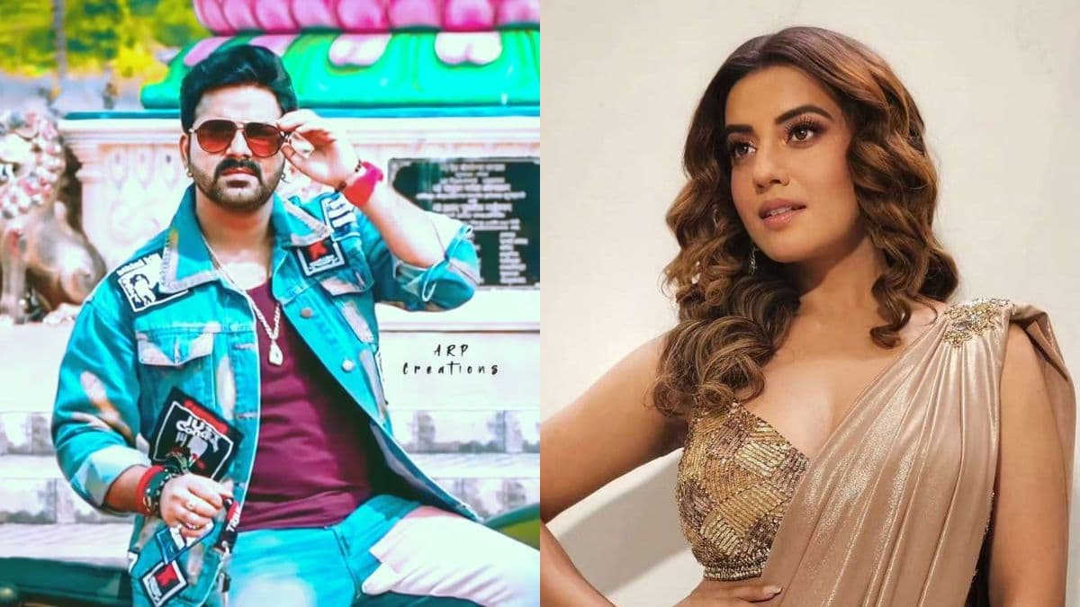 किसी को पड़े पत्थर तो किसी ने खाईं गालियां, जब सरेआम बेइज्जत हुए Bhojpuri Celebs