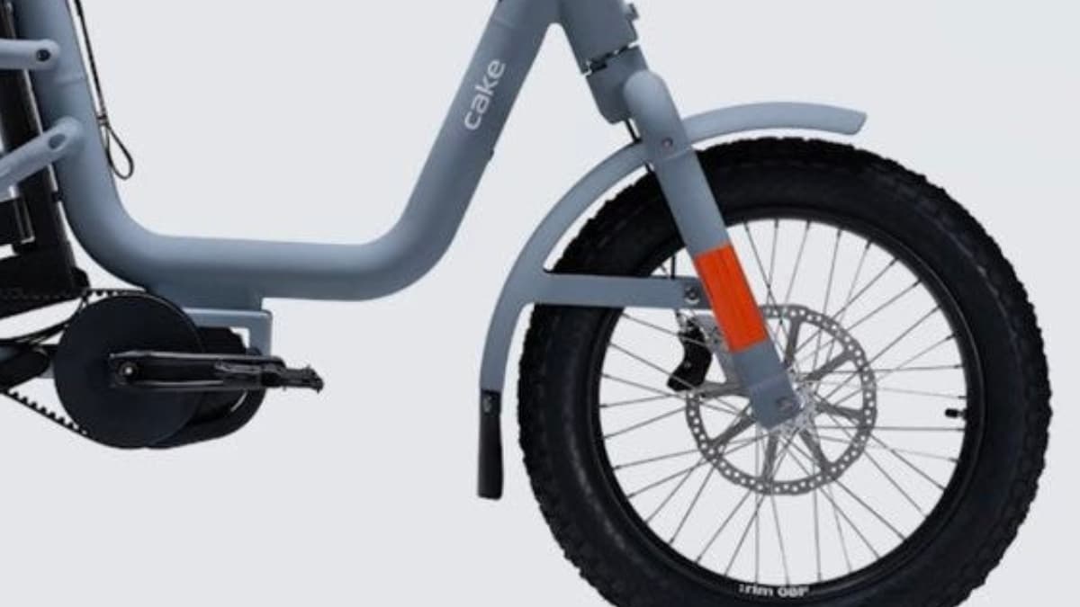 पापा, मम्मी समेत घर के हर मेंबर के लिए बेस्ट है यह E Scooter, कीमत महज 25,000