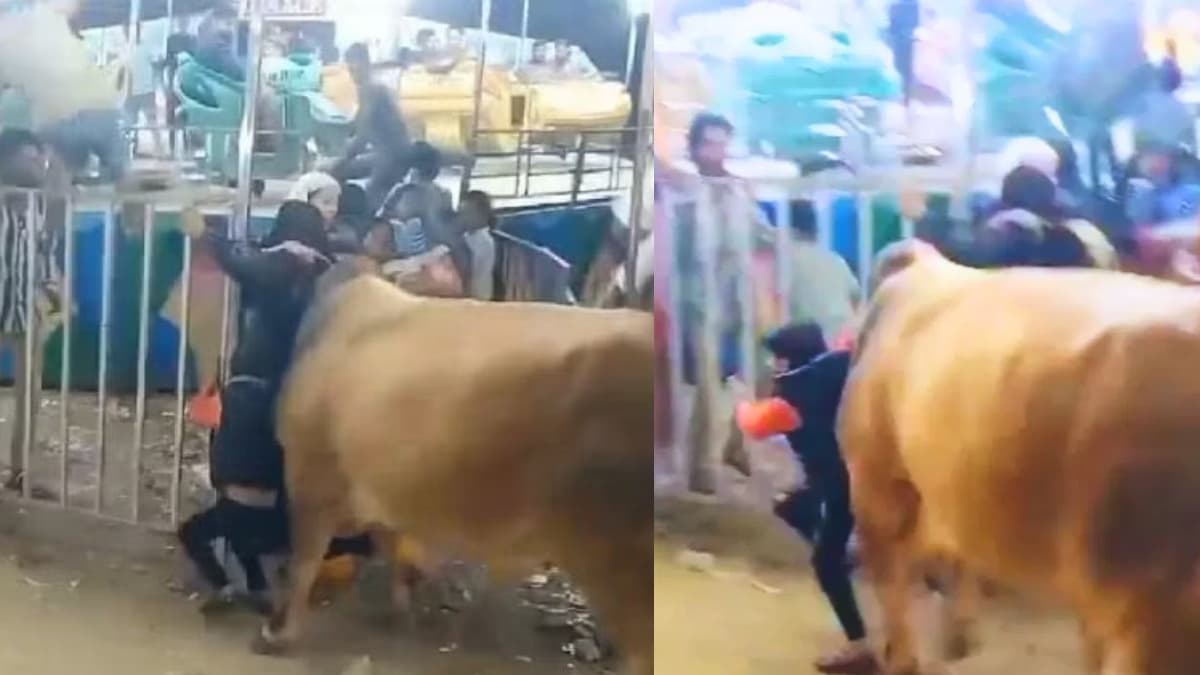 रामलीला मेले की खचाखच भीड़ में घुस आया सांड, भगदड़ के बीच 'महिला को मारा सींग और बच्चे को पटका'