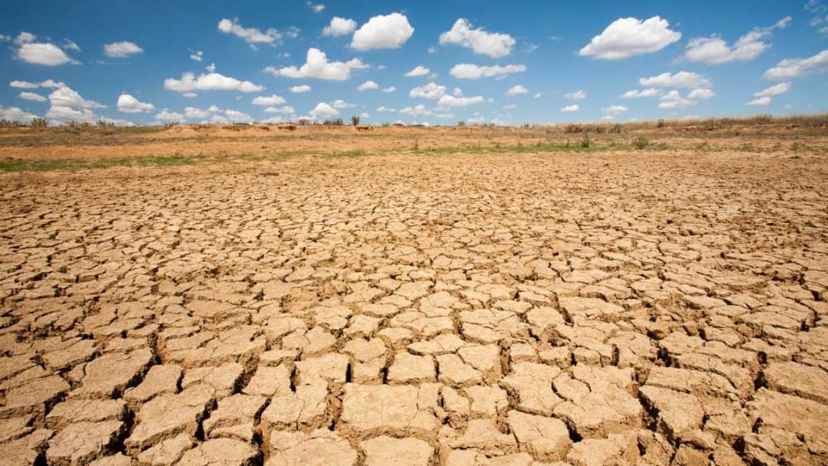 Global Warming: क्यों बढ़ता जा रहा धरती का तापमान? 6 वजह आईं सामने, सबसे बड़ा कारण इंसान