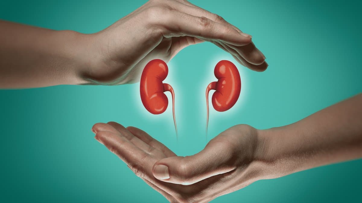 10 आदतें, जो खराब कर सकती हैं किडनी, जानते हुए भी रुटीन में दोहराना घातक