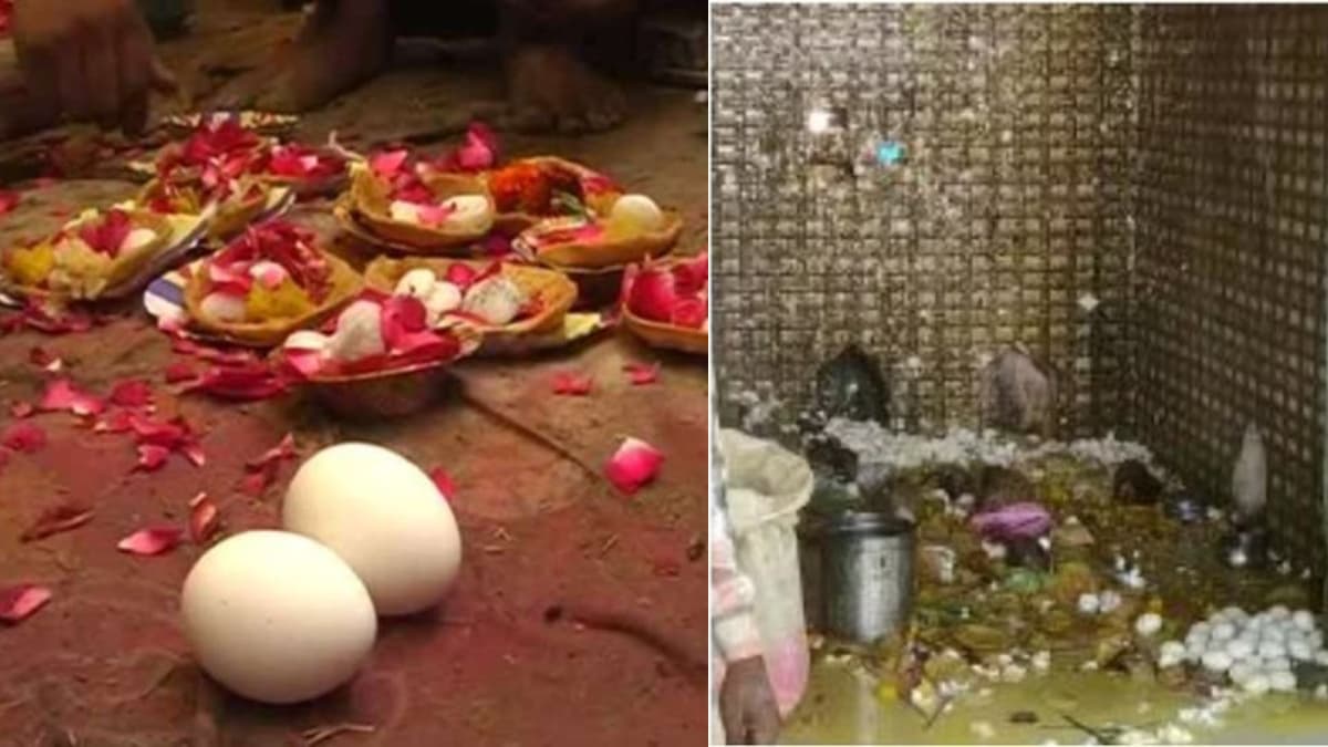 यूपी के इस अनोखे मंदिर में लड्डू या पेड़ा नहीं...'अंडे का चढ़ता है भोग', बच्चों के लिए मांगी जाती है दुआ