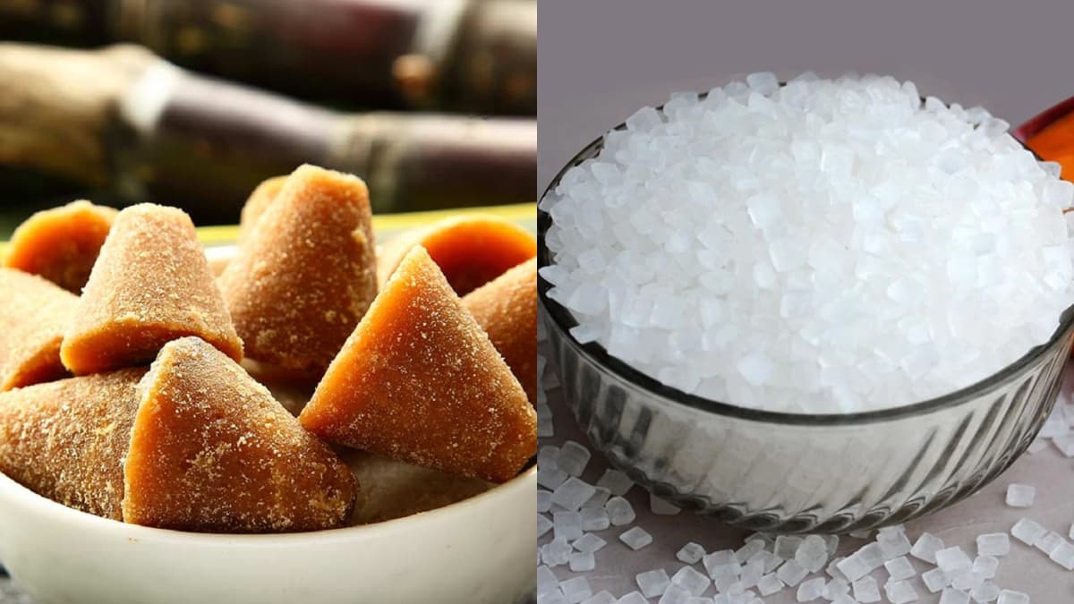 गुड़ ज्यादा अच्छा या चीनी? इनके फायदे और नुकसान