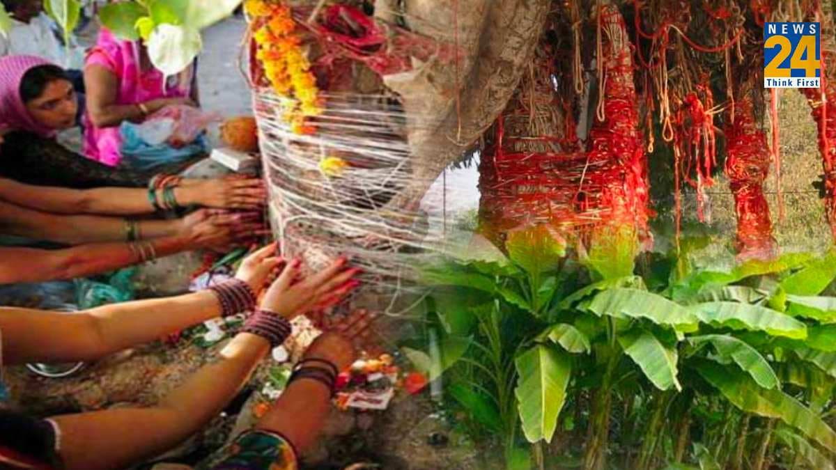 5 पेड़-पौधों में कलावा बांधने से जाग जाती है सोई हुई किस्मत, जानें इनके नाम