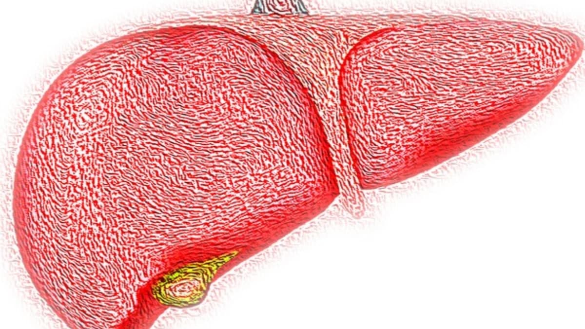 Liver Disease: शराब पीते हैं तो हो जाएं सावधान! शरीर के सिग्नल को समझें, कहीं देर न हो जाए
