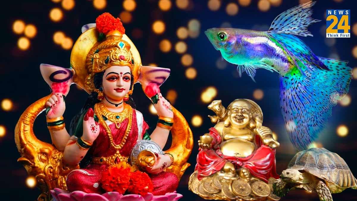 दिवाली से पहले घर ले आए, वास्तु से जुड़ी 5 चीजें, हमेशा भरी रहेगी तिजोरी