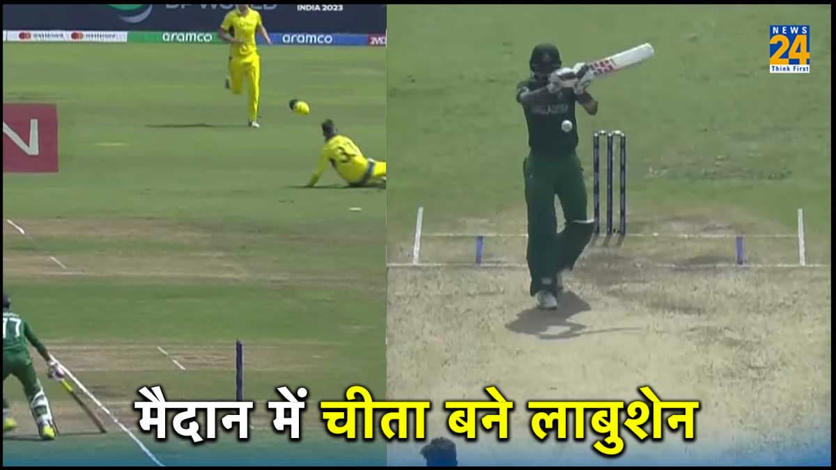 VIDEO: चीते की तरह गेंद पर झपटे लाबुशेन, पलक झपकते ही बांग्लादेशी कप्तान और महमूदुल्लाह का काम हुआ तमाम