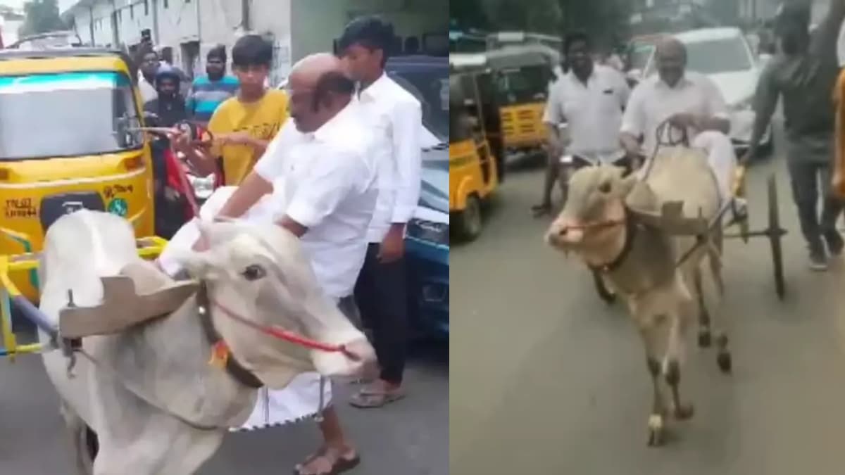Watch Video: तमिलनाडु में विरोध जताने का अनोखा तरीका, बैलगाड़ी दौड़ाते दिखें पूर्व मंत्री
