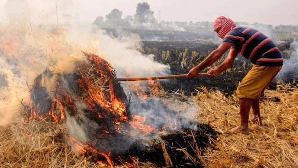 पंजाब में पराली जलाने वाले हो जाए सावधान, आप पुलिस की नजर में हैं, डीजीपी के निर्देश, आरोपितों पर कड़ी कार्रवाई