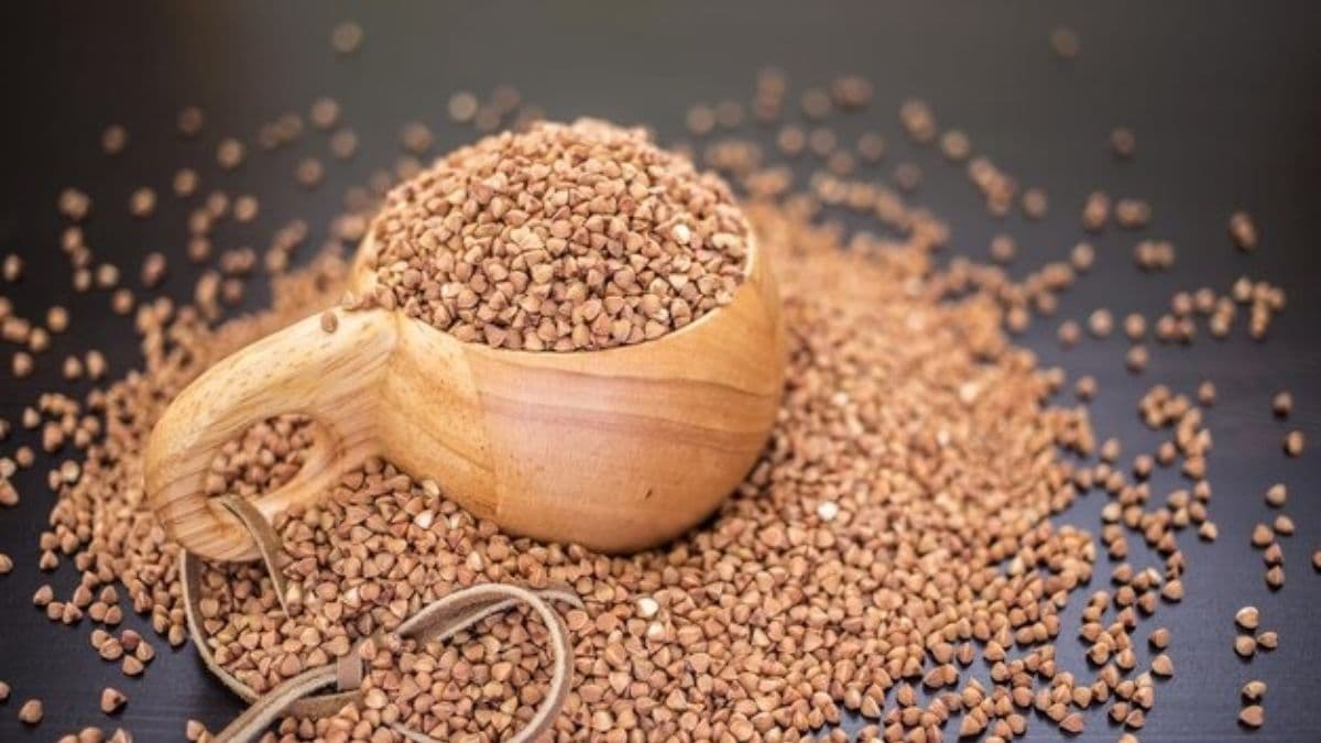 Ragi कौन खाएं और कौन नहीं? Expert क्या कहते हैं जान लें