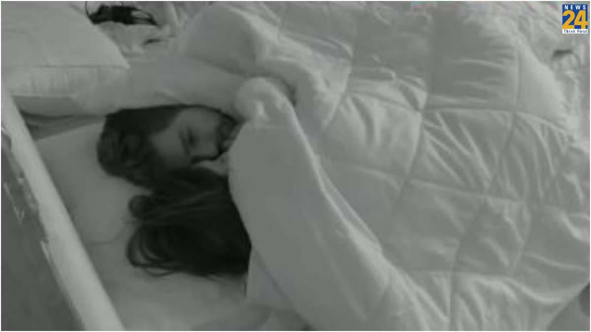 Bigg Boss में हुईं अश्लीलता की हदें पार, कभी Lip Lock तो कभी तकिए के नीचे शर्मनाक हरकत करते दिखें 'निब्बा और निब्बी'