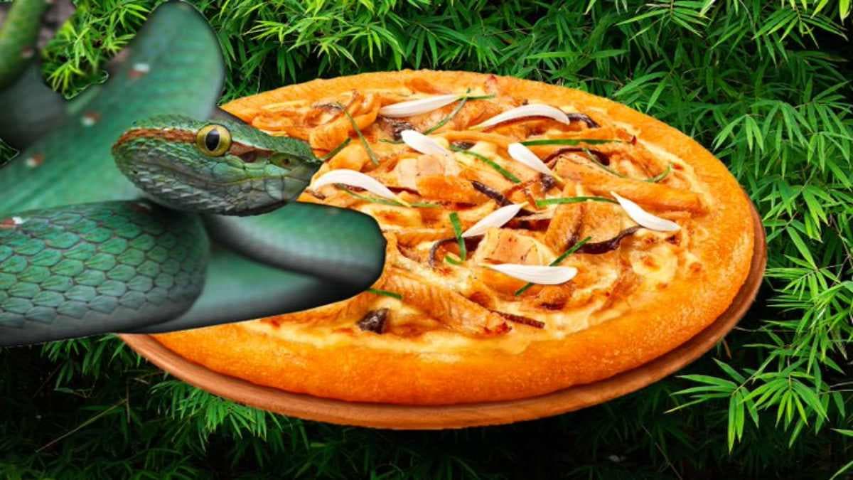 Pizza Hut ने सांप के मांस से तैयार की नई डिश, क्या आप चखना चाहेंगे?