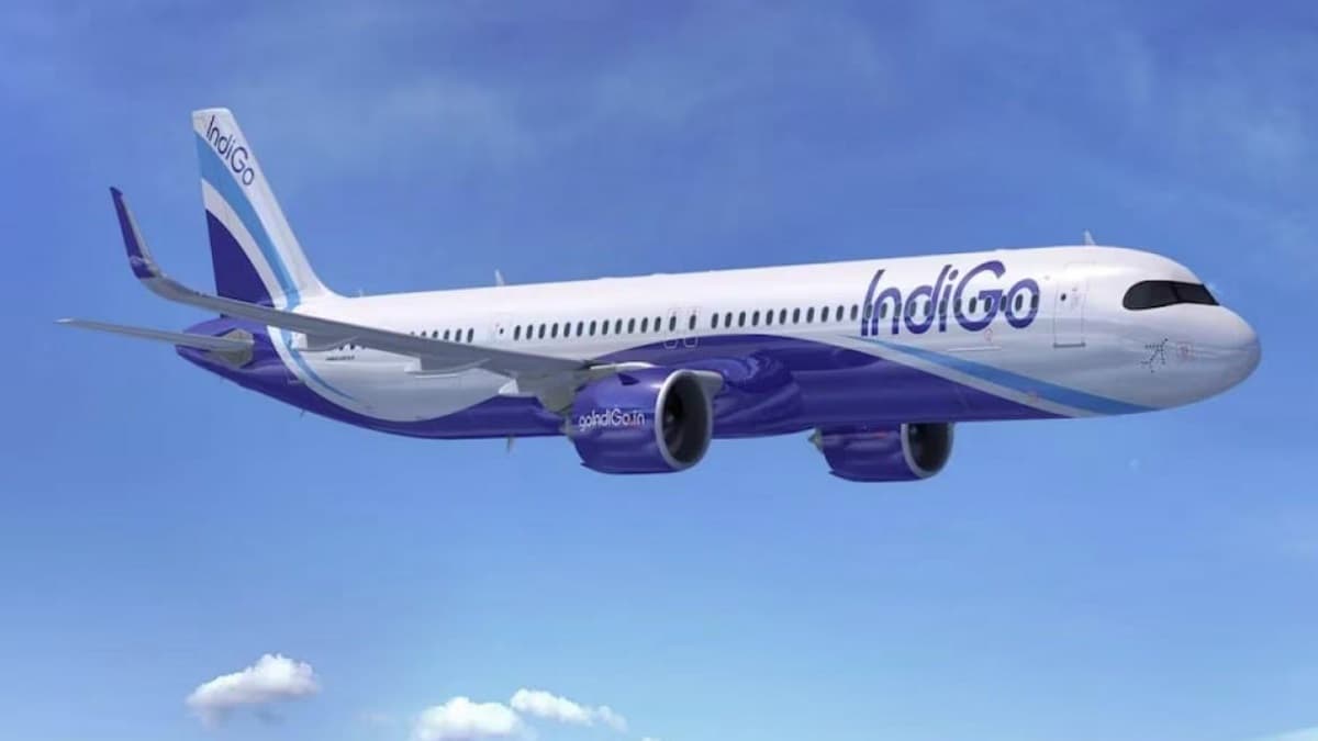 Indigo Flight