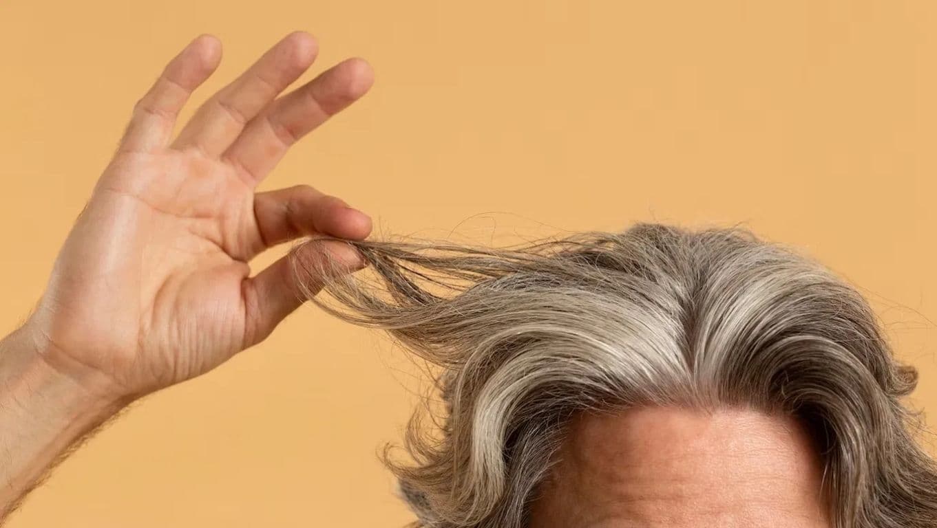 Hair Care Tips: सफेद बाल को तोड़ने की न करें गलती, स्कैल्प के लिए है नुकसानदायक!