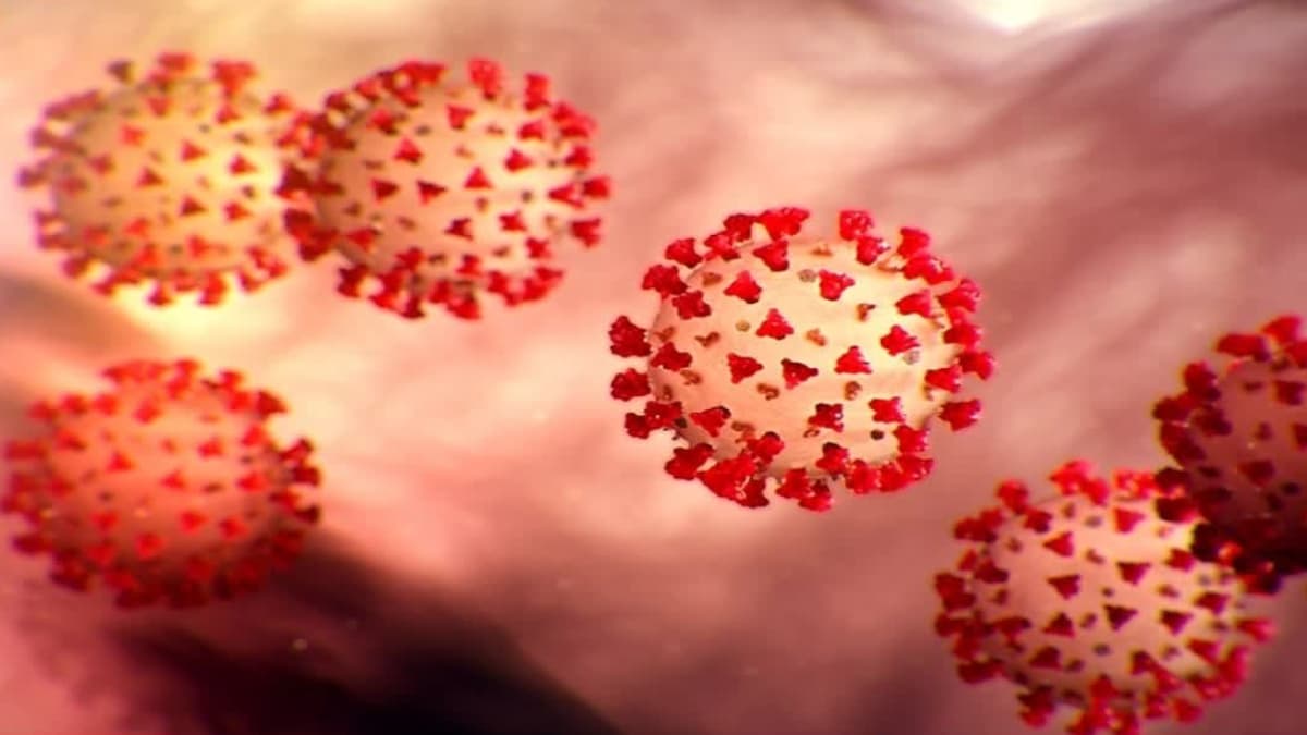 Coronavirus: न्यू ईयर की पार्टी संभलकर मनाएं, देश में तेजी से पैर पसार रहा नया वैरिएंट