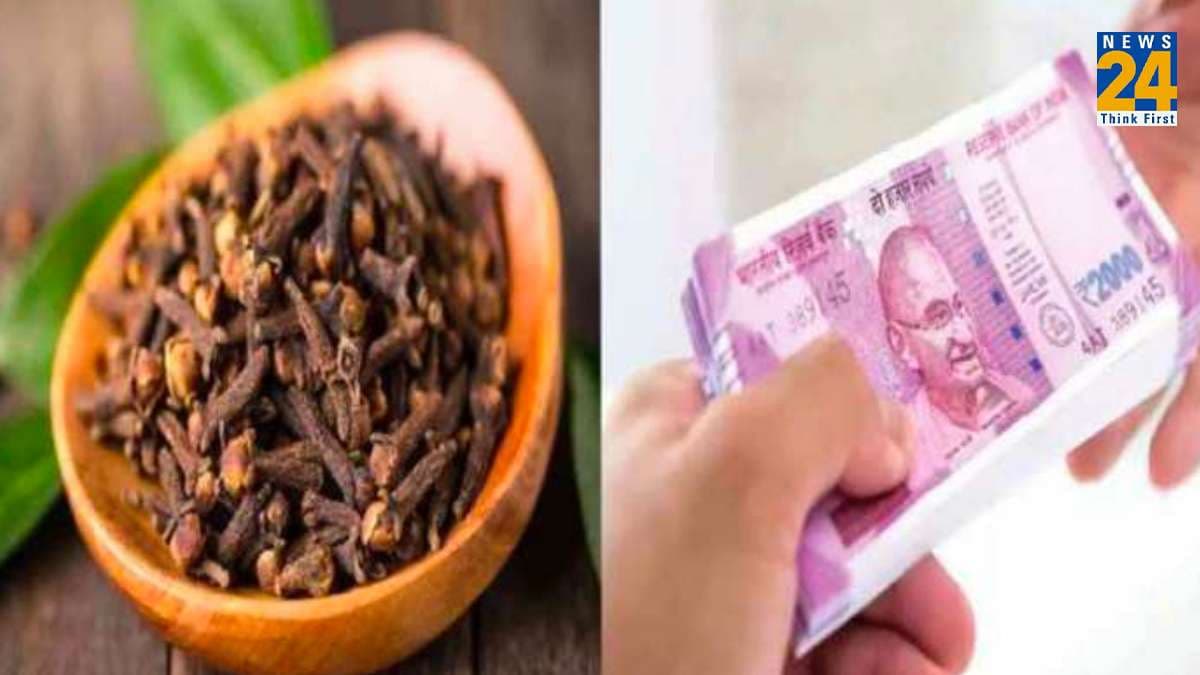 2 लौंग का ये खास उपाय संवार देगा आपकी किस्मत! दूर होंगी मुश्किलें