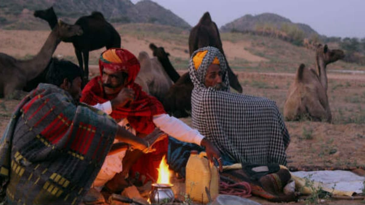 राजस्थान में कड़ाके की सर्दी के बीच बारिश का अलर्ट, IMD ने जारी किया अपडेट