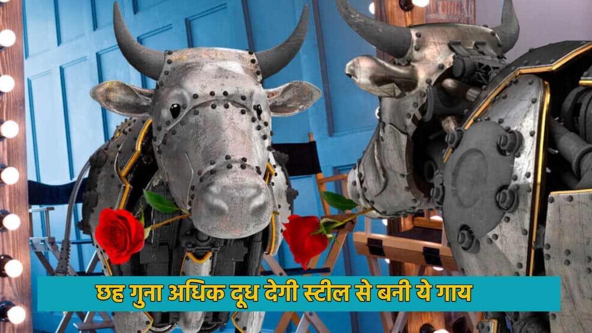 Stainless Steel Cow : गाय से 6 गुना ज्‍यादा दूध देगी ये स्‍टील की गाय, अंत‍र‍िक्ष में द‍िखाएगी कमाल 
