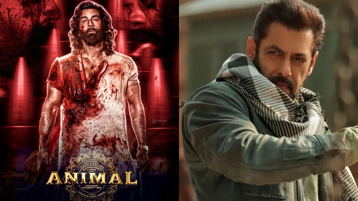 Animal ही नहीं इन तीन फिल्मों के शोज भी चले 24x7, लिस्ट में Hollywood Movie का भी नाम शामिल