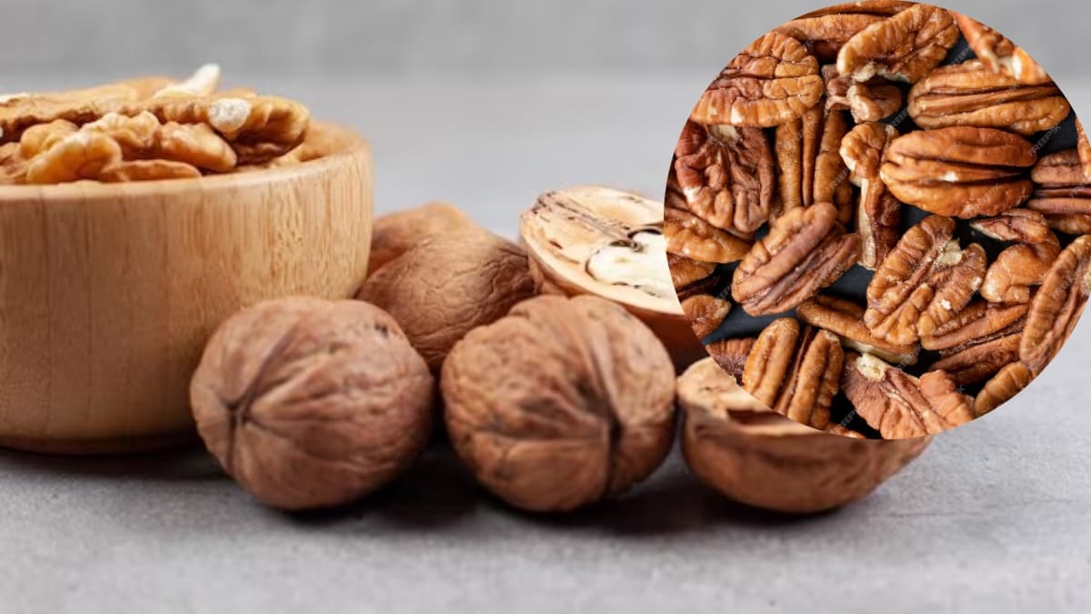 Pecans vs Walnuts: दोनों में क्या खास अंतर? कौन सा ड्राई फ्रूट सेहत के लिए ज्यादा फायदेमंद