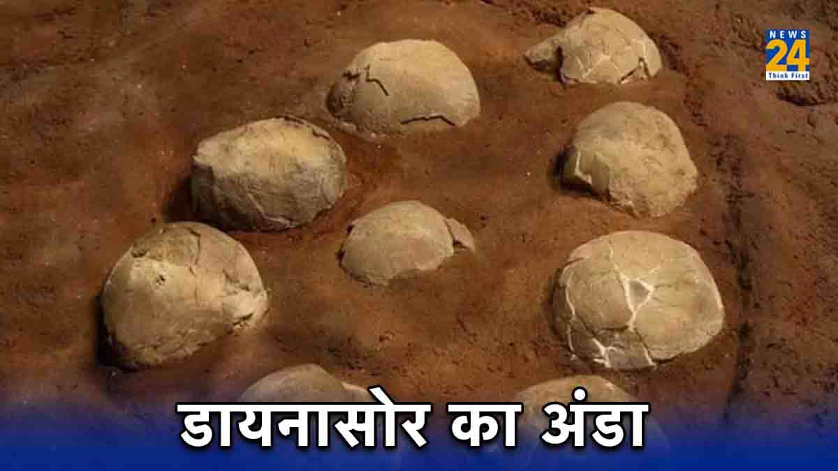 कुलदेवता मानकर जिसकी सालों से हो रही थी पूजा, अब निकला डायनासोर का अंडा