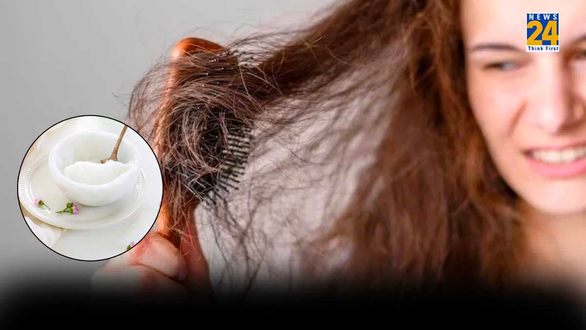 Winter Hair Care Tips: सर्दियों में रूखे हो जाते हैं बाल? धोने से पहले अपनाएं ये घरेलू नुस्खा