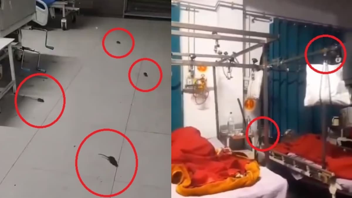 Viral Video: उत्तर प्रदेश के अस्पतालों में चूहों का उत्पात, मरीजों के ऊपर लगा रहे दौड़