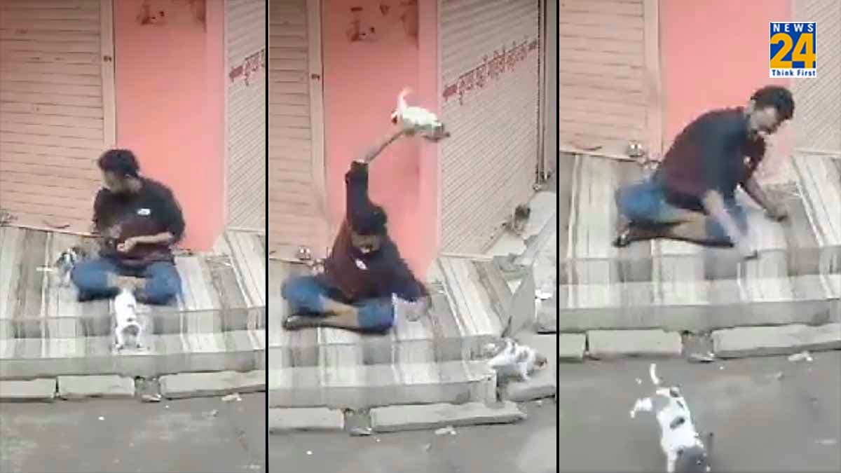 मध्य प्रदेश: युवक ने कुत्ते को पीट-पीट कर मार डाला, सिंधिया ने लगाई गुहार तो सीएम शिवराज बोले- अंजाम भुगतना होगा