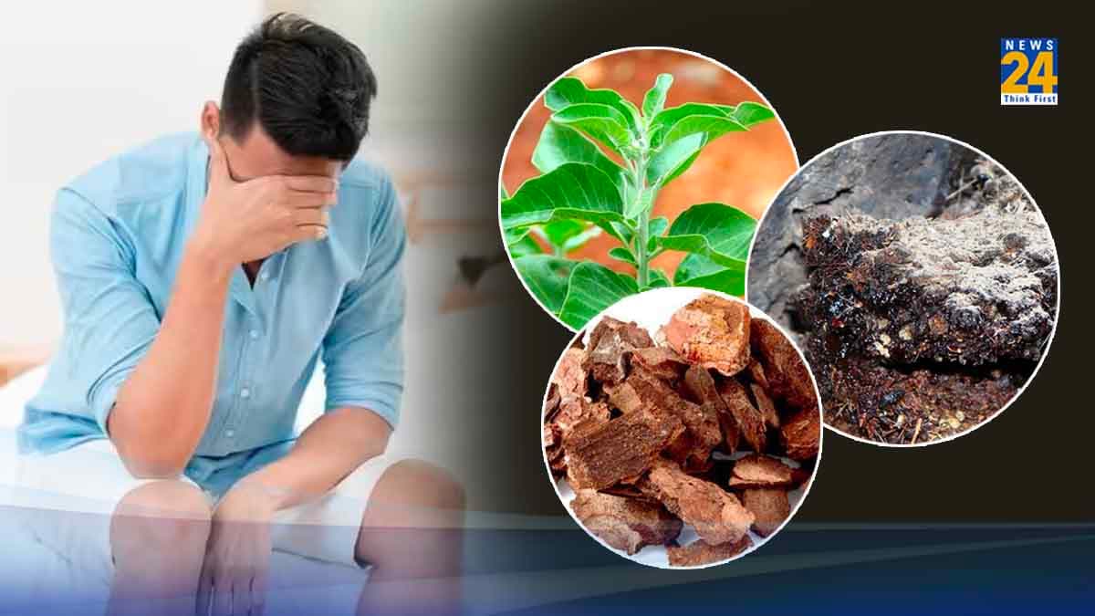 पुरुषों में Testosterone की कमी को दूर करने में कारगर ये 7 जड़ी-बूटियां!