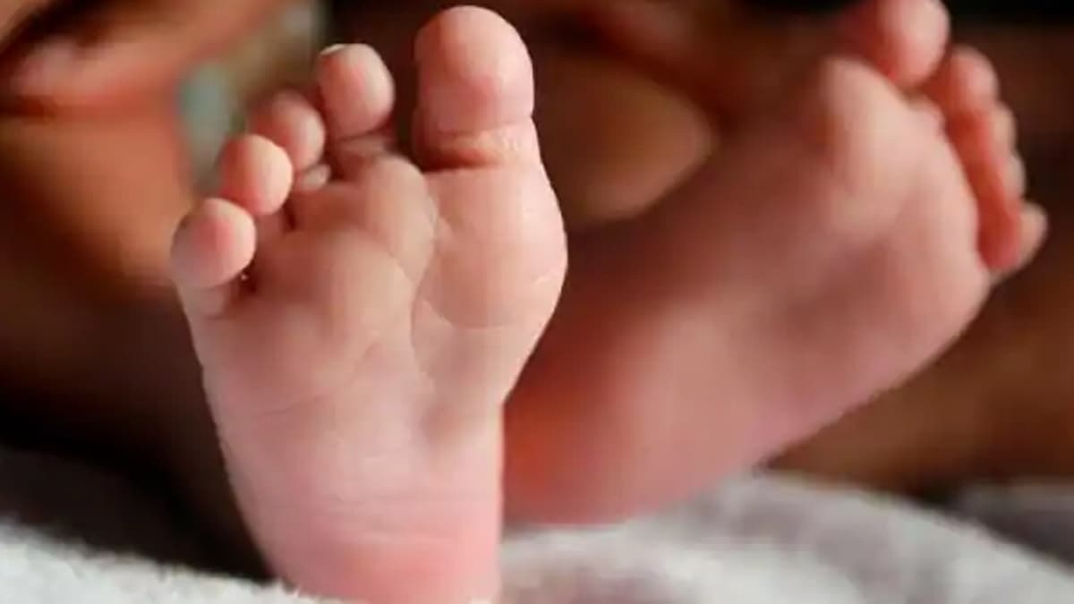 चमत्कारी बच्चा! उम्र 1 साल, कीड़ों ने खाया, हाईवे किनारे खाई में अकेले 2 दिन रहा, फिर भी मिला जिंदा