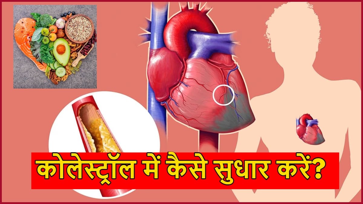 Cholesterol: लाइफस्टाइल में 5 बदलावों से बढ़ता कोलेस्ट्रॉल होगा कम! जानिए