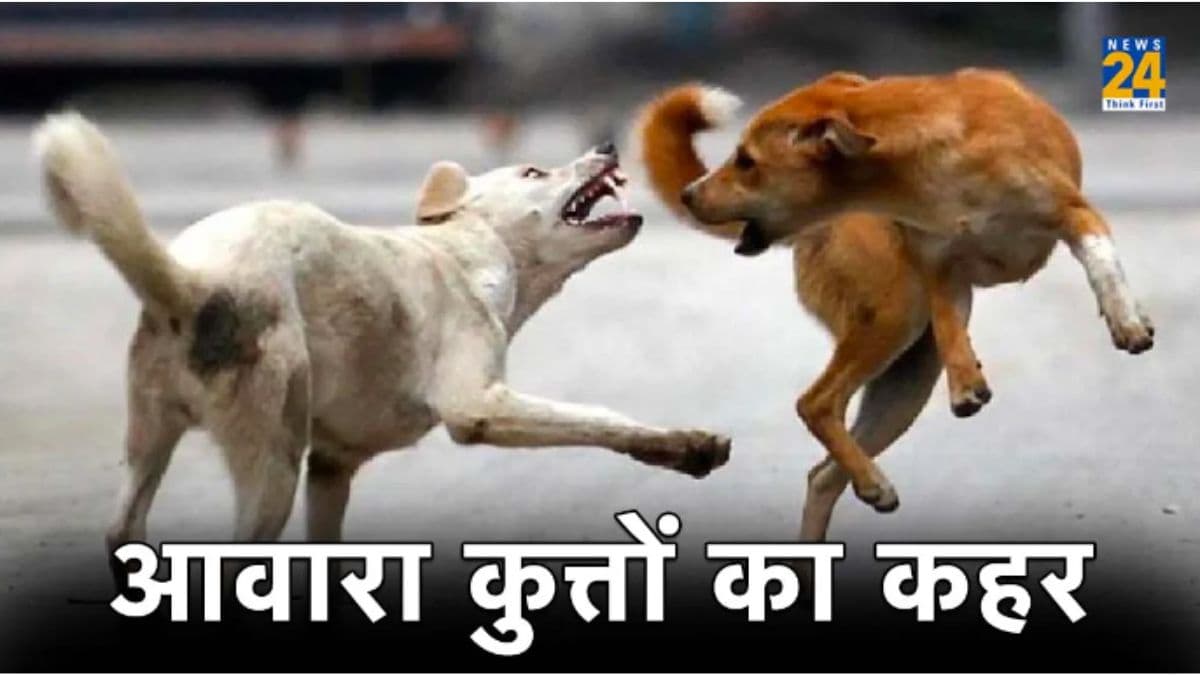 चार महीने के मासूम को 'स्ट्रीट डॉग' ने नोंच-नोंचकर मार डाला, हैदराबाद में दिल दहला देने वाली घटना