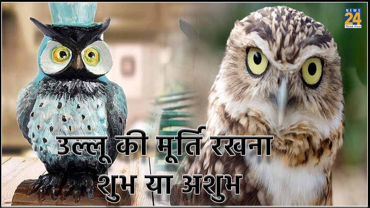 घर में उल्लू की मूर्ति रखना शुभ या अशुभ, जानें क्या है वास्तु नियम