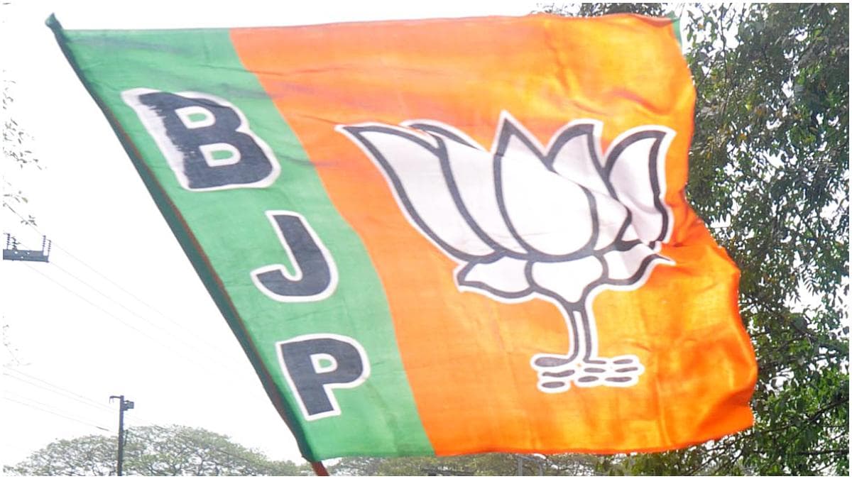 BJP Flag