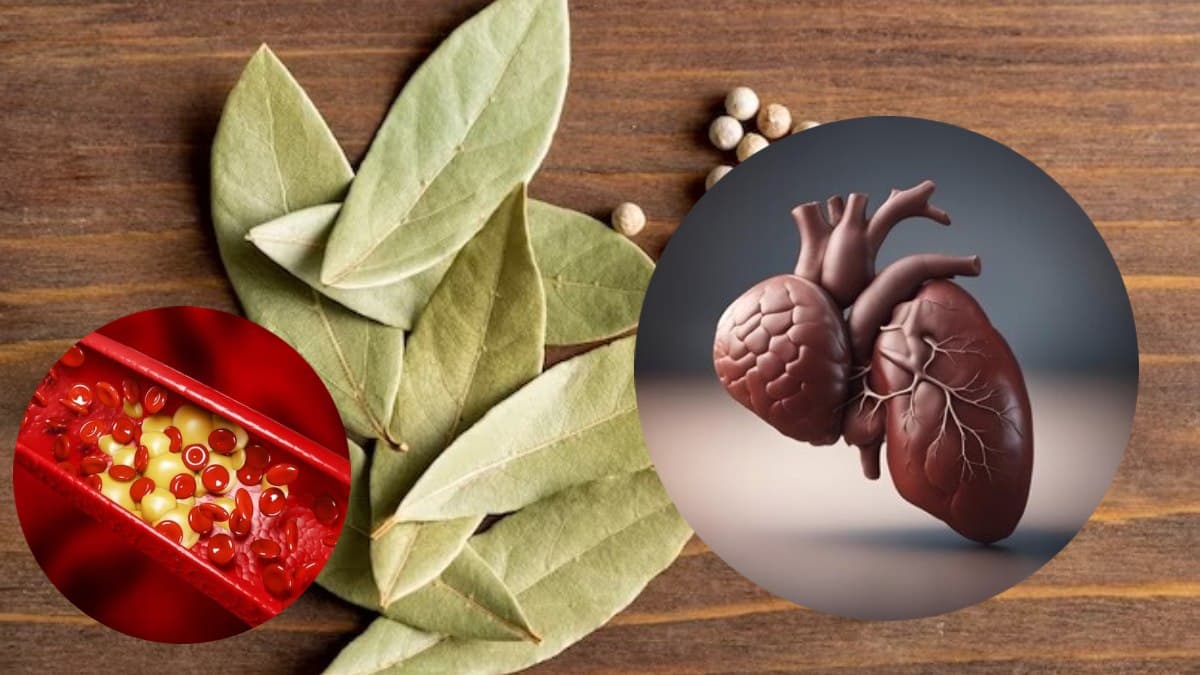 कई तरह से फायदेमंद है तेज पत्ता, Cholesterol से लेकर दिल का रोग करे कम!
