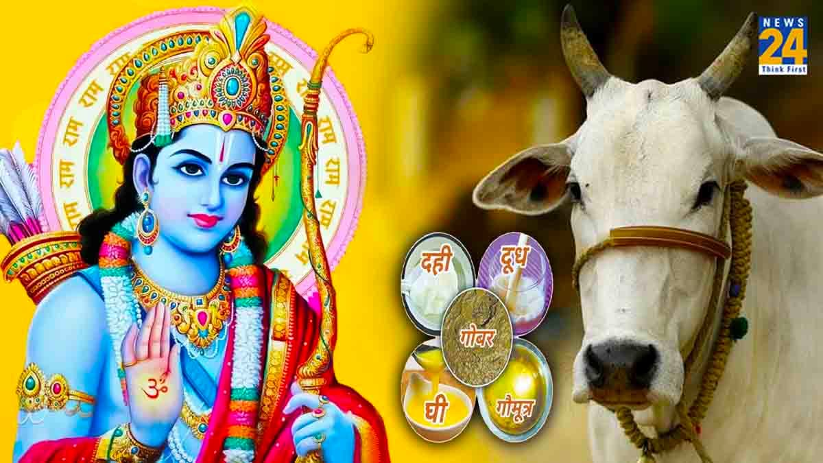 प्राण प्रतिष्ठा से पहले राम मंदिर में होगी 'पंचगव्य पूजा', जानें इसके बारे में
