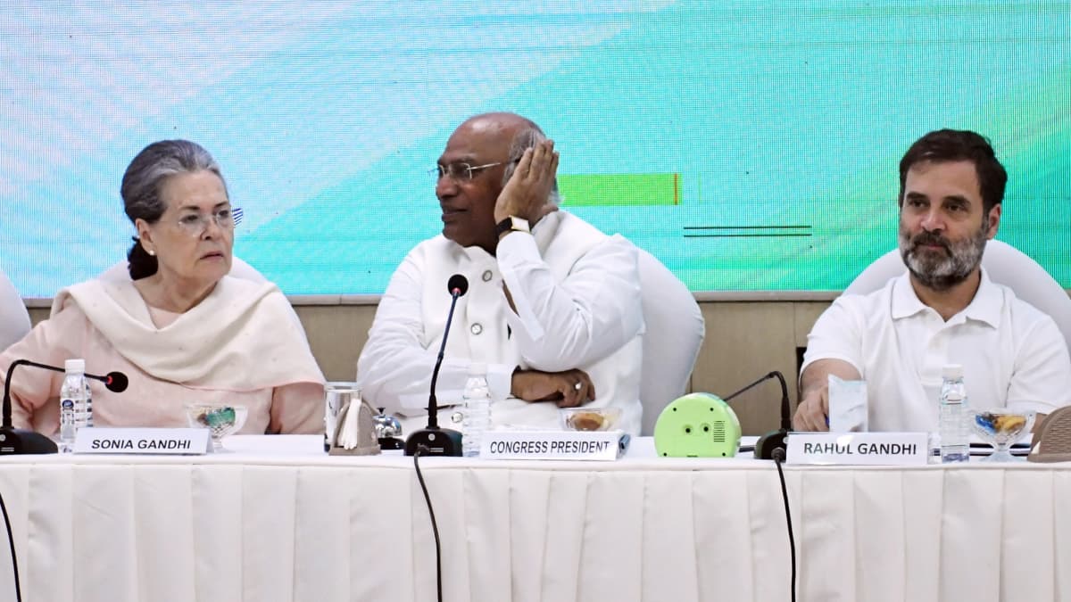 Lok Sabha Election 2024: त्याग, समर्पण, एकजुटता... विपक्षी गठबंधन को मजबूत कर सकता है यह फॉर्मूला