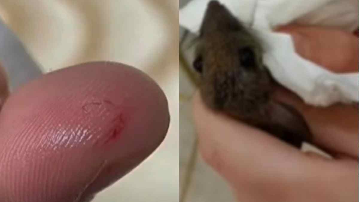 Bizarre Revenge! क्यों चूहे की दुश्मन बनी छात्रा? बदला लेने के लिए पार की हदें