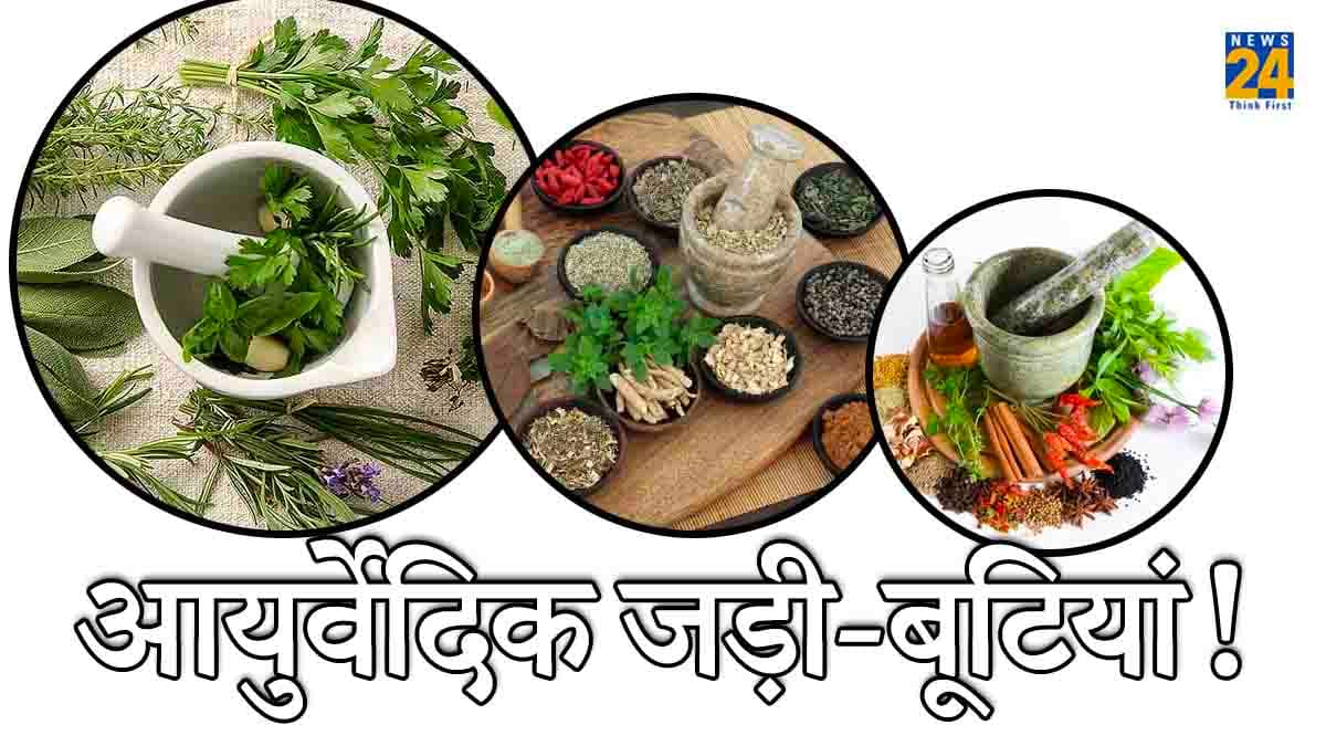 याददाश्त से लेकर मेंटल हेल्थ के लिए रामबाण हैं ये 7 जड़ी-बूटियां!