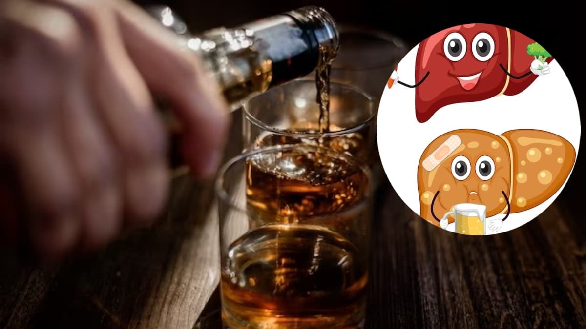 Explainer: जब कोई शराब छोड़ देता है, तो Liver का क्या होगा