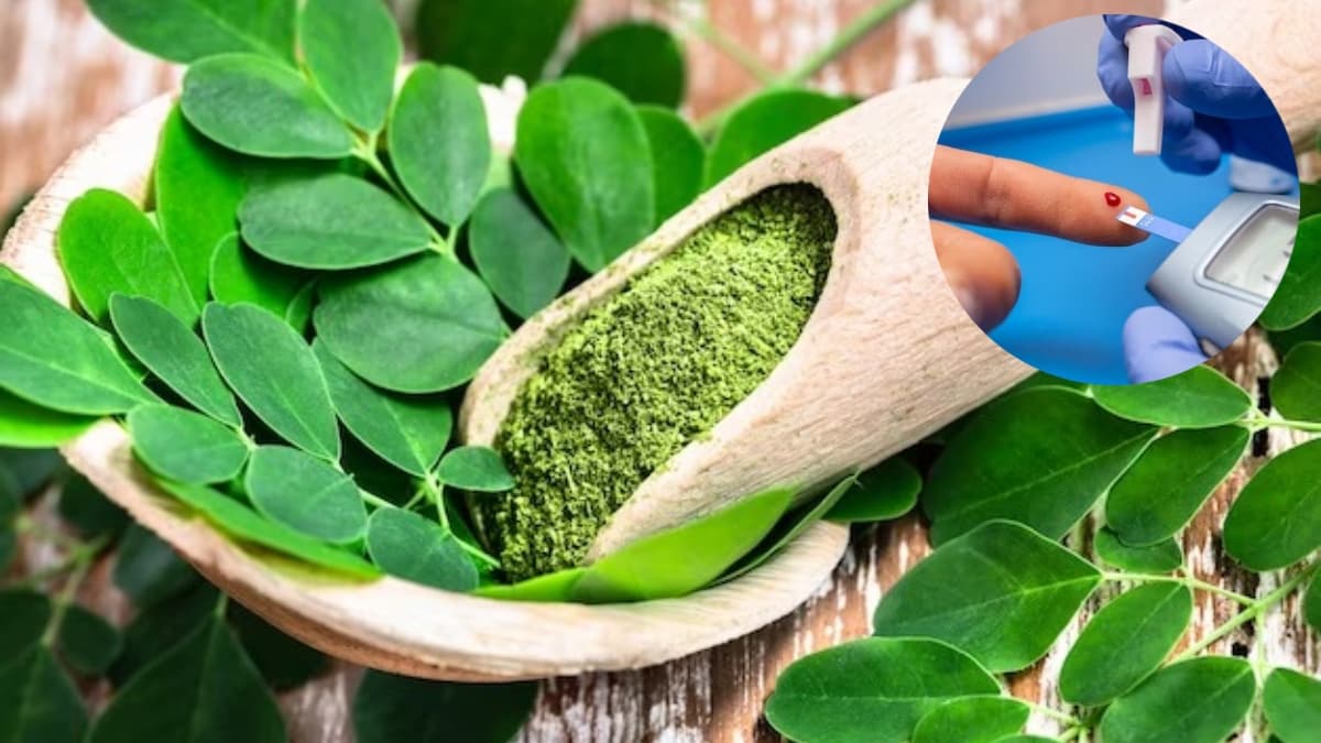 एनर्जी से लेकर इम्यूनिटी बढ़ाने तक जानें Moringa के हेल्थ बेनिफिट्स