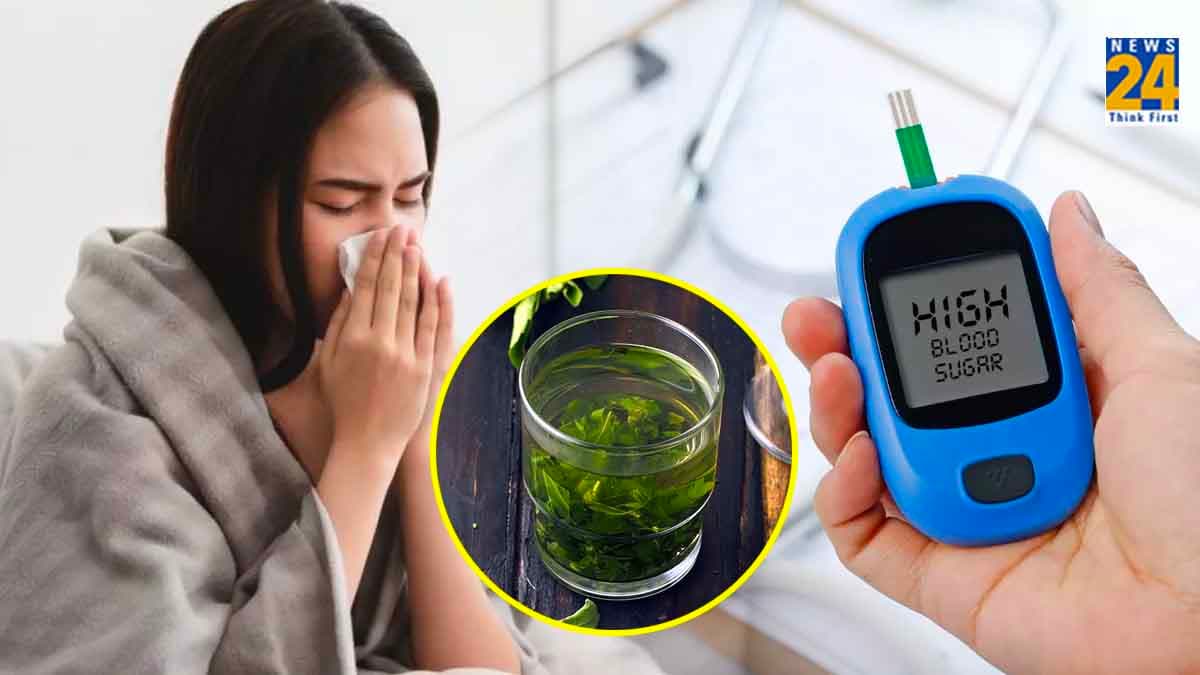 Tulsi Water Benefits: तुलसी की चाय से ज्यादा गुणकारी है इसका पानी! जानिए 7 फायदे