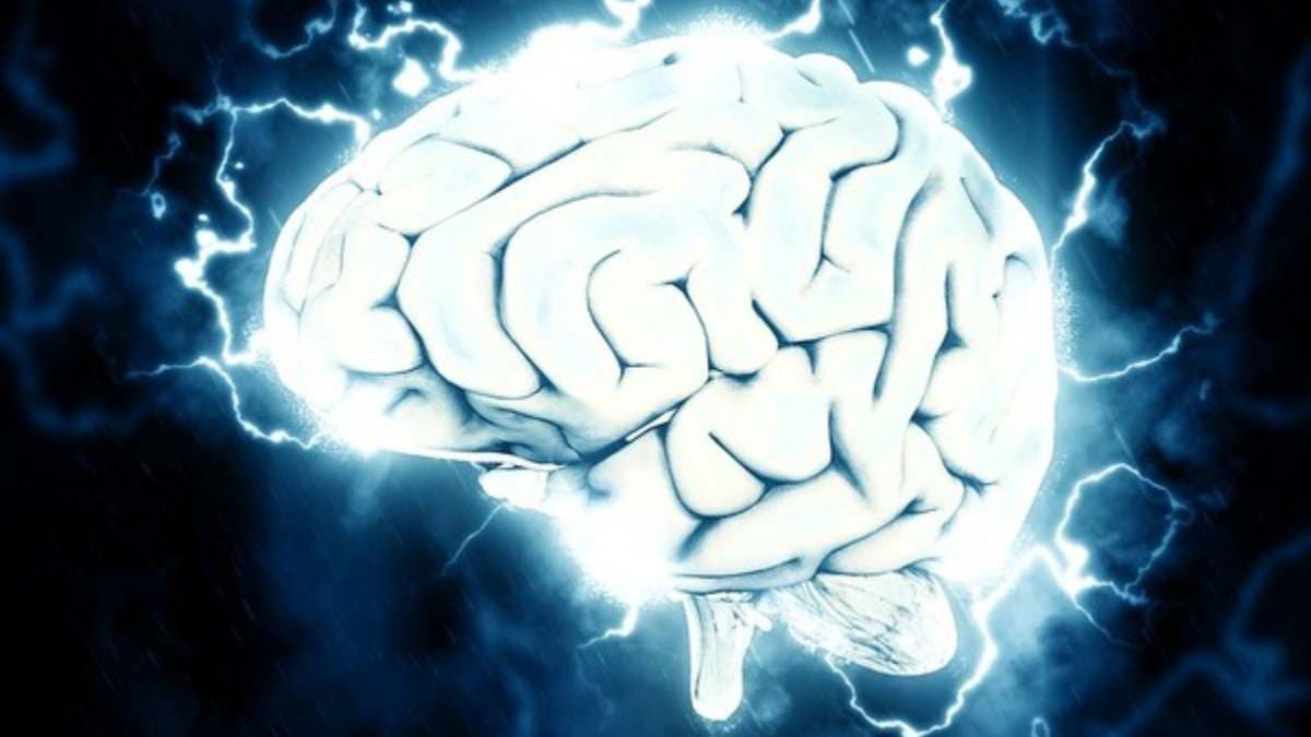 Scientists created small brain Scientists created small brain