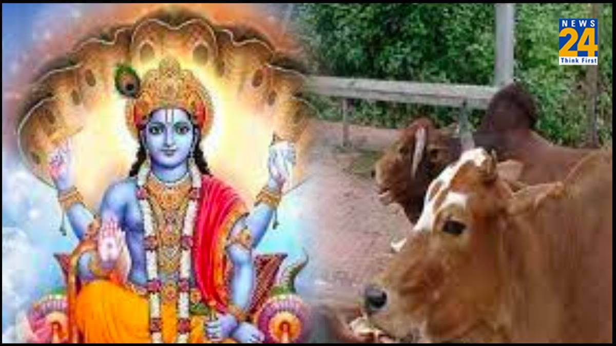 Magh Purnima 2024: माघ पूर्णिमा के दिन सभी दोषों से मुक्ति पाने के लिए गाय को खिलाएं यह चमत्कारी चीज