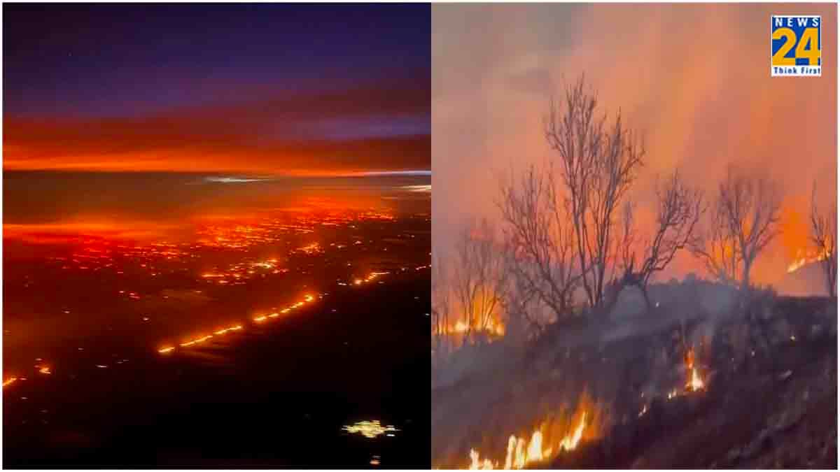 भीषण Wildfire से झुलस रहा Texas, हर 2 मिनट में जल रहे 2 फुटबॉल ग्राउंड के बराबर जंगल