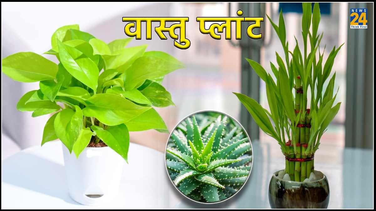 Vastu Shastra: घर में पौधे लगाने की क्या है सही दिशा, जानिए क्या कहता है वास्तु शास्त्र