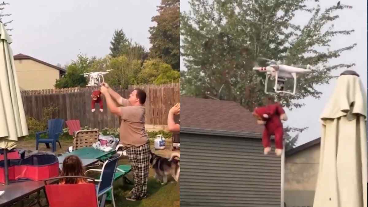 Viral Video Trending News